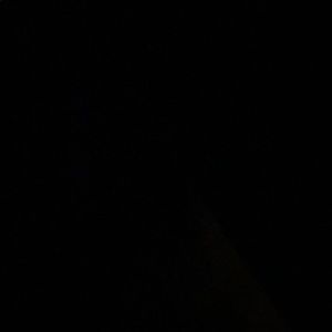 Meet your Posher, Irma